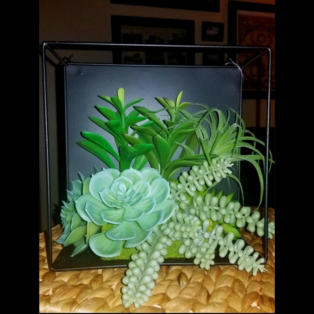 Succulent Floating Cube Shelf Wall Decor